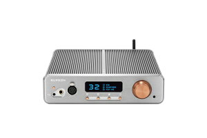 BURSONAUDIO�b�o�[�\���I�[�f�B�I DAC & �w�b�h�z���A���v Conductor GT4
