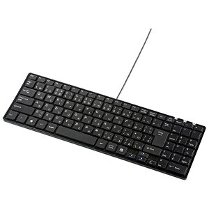 �T�����T�v���C�bSANWA SUPPLY �L�[�{�[�h �u���b�N SKB-SL19BK [�L�� /USB]�yrb_ keyboard_cpn�z