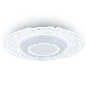 IRIS OHYAMA�b�A�C���X�I�[���} ���^�����V�[�����O���C�g 950lm �����F SCL100D-PK