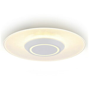 IRIS OHYAMA�b�A�C���X�I�[���} ���^�����V�[�����O���C�g 1900lm �d���F SCL200L-PK