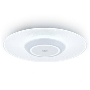 IRIS OHYAMA�b�A�C���X�I�[���} ���^�����V�[�����O���C�g 1900lm �����F �l���Z���T�[�t SCL200D-MS-PK