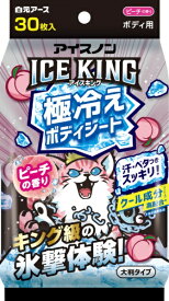 白元アース｜Hakugen Earth アイスノン ICE KING 極冷えボディシート ピーチの香り 30枚入 アイスノン