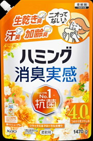 花王｜Kao ハミング消臭実感リラックス＆フローラルの香りつめかえ用1470g ハミング