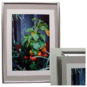 ソフケン|SOFKEN ラクパネ A2 シルバー