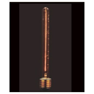 ���p�d���bHAKUYO DENKYU ���B���e�[�W�����v �i����E26�j�@110V40W T30 F8 E26[110V40WT30F8E26]