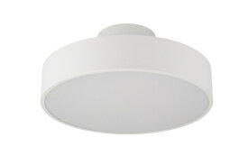 長澤ライティング｜NAGASAWA Lighting Rayg（レイグ）NC-5500 WH [12畳 /昼光色〜電球色 /リモコン付属]