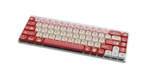SYNTECH�b�V���e�b�N �Q�[�~���O�L�[�{�[�h (�L�f�U�C��) G68LP-RD [�L���E���C�����X /Bluetooth�EUSB]