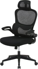 不二貿易｜Fuji Boeki メッシュチェア [W640xD630xH1110〜1240mm] ランバーサポート付き ルフト ブラック 91010