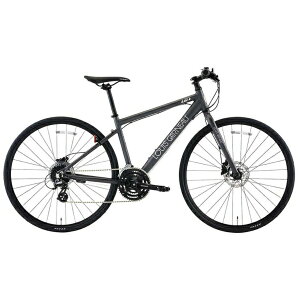 ���C�K�m�bLOUIS GARNEAU 700X28C�^ �N���X�o�C�N SETTER9.0DISC-R MATTE ICE GRAY [24�i�ϑ��i3×8�j]�y�L�����Z���E�ԕi�s�z �y��������z���s�z