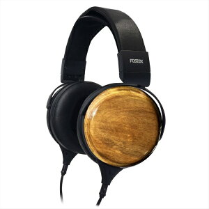 FOSTEX�b�t�H�X�e�N�X ���^�v���~�A���E�w�b�h�z�� TH810 [�I�[�o�[�w�b�h�^]