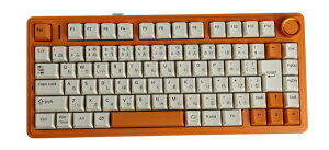 AULA AULA F75 White Orange