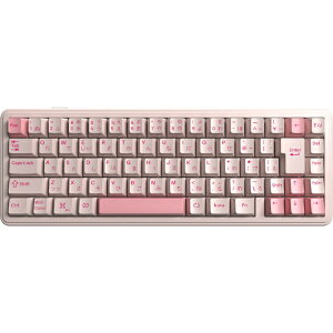 AULA AULA F65 Pink