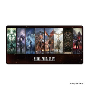 SQUARE ENIX�b�X�N�E�F�A�G�j�b�N�X �t�@�C�i���t�@���^�W�[XVI �Q�[�~���O�}�E�X�p�b�h
