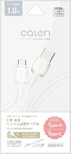 ���X�^�o�i�i�bRastaBanana USB-A �� USB-C�P�[�u�� [�[�d /�]�� /1.0m /3A /USB2.0] �z���C�g R10CAAC3A07WH [USB-A �� USB-C]