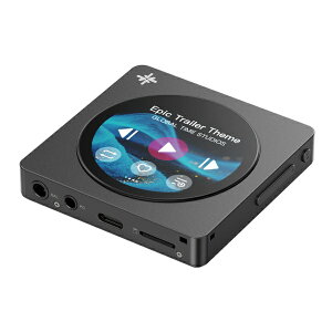�y2026�N05��22�������z FIIO Snowsky DISC Black FIO-SSDISC-B [�n�C���]�Ή�]