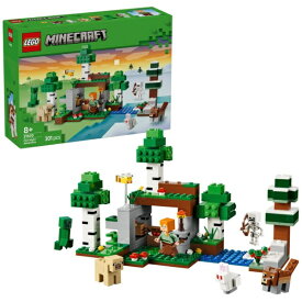 レゴジャパン｜LEGO レゴ（LEGO） 21593 マインクラフト 最初の夜の冒険