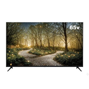 APEX�b�A�y�b�N�X PC���j�^�[ �u���b�N AP65DPXD [65�^ /4K(3840×2160�j /���C�h /60Hz]