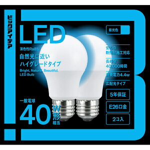 �r�b�N�A�C�f�A�bBicIDEA LED�d�� �����F LDA4D-G/SK40XBIT-2P [E26 /��ʓd���` /40W���� /�����F /2�� /�L�z���^�C�v]