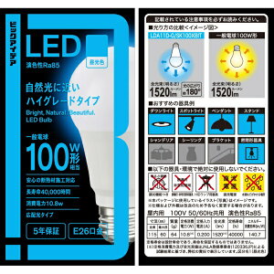 �r�b�N�A�C�f�A�bBicIDEA LED�d�� �����F LDA11D-G/SK100XBIT [E26 /��ʓd���` /100W���� /�����F /1�� /�L�z���^�C�v]