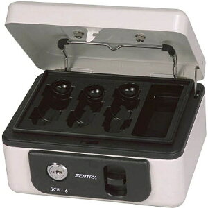 Zg[{bSentry SCB-6  LbV{bNX [][SCB6]