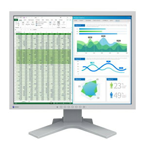 EIZO�b�G�C�]�[ �t���f�B�X�v���C S2134-HGY