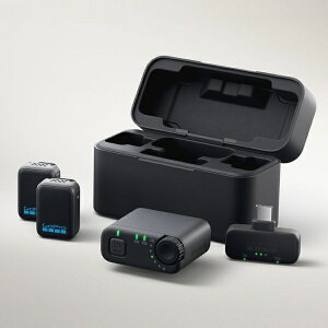 GoPro�b�S�[�v�� ���C�����X�}�C�N�R���v���[�g�L�b�g AWMIC-010-AS