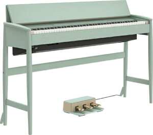 Roland�b���[�����h �f�W�^���s�A�m �J�����N�Ƌ�R���{���[�V�������f�� �Z���h���O���[�� KF-20-KG [88����]