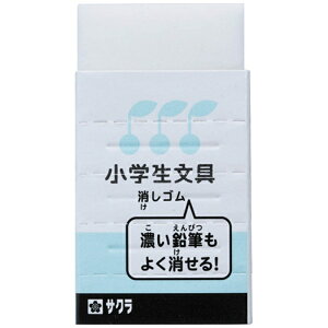 TNNpXbSAKURA COLOR PRODUCT w S u[