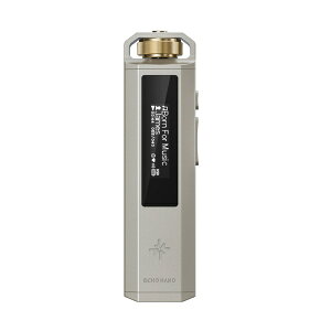 FIIO�b�t�B�[�I �|�[�^�u���I�[�f�B�I�v���C���[ Snowsky ECHO NANO Titanium Gold FIO-SSENANO-G [�n�C���]�Ή�]