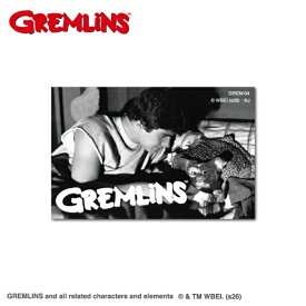 ゼネラルステッカー｜GENERAL STICKER ダイカットステッカー　グレムリン 場面写真 GREM-04