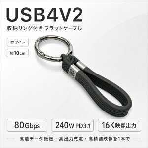 YouZipper�b���[�W�b�p�[ USB-C �� USB-C�P�[�u�� [�f�� /�[�d /�]�� /0.1m /16K /PD240W /USB4(80Gbps)] (���[�����O�t) �u���b�N T5-01BK [USB-C �� USB-C /16K]