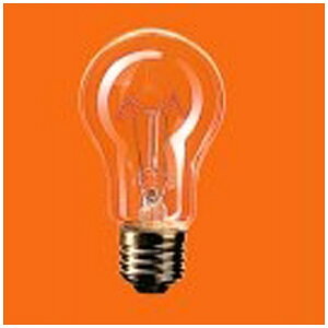 Panasonicbpi\jbN RC110V100WEC/D ϐkd NA [E26 /dF /1 /ʓd`][RC110V100WCD]