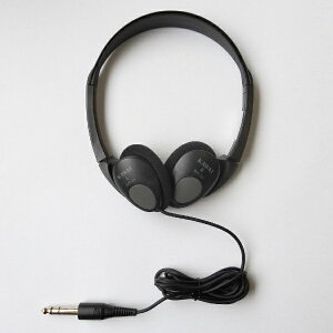 ͍ybKAWAI wbhz SH-2N [6.3mm WvO][SH2N]