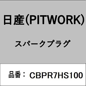 PITWORK�b�s�b�g���[�N CBPR7HS100 �X�p�[�N�v���O