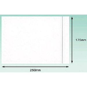 psXJpj[bPAPYRUS COMPANY fo[pbN@ iA5TCYpj@175×250@PA005T i1pbN100j