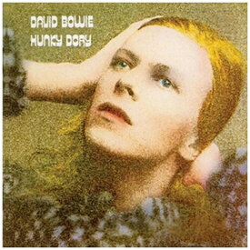 楽天市場 ハンキー ドリーの通販