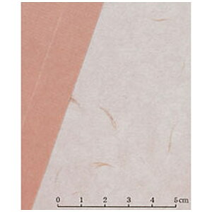 AK~t@Ng[bAwagami Factory Rs[ła@Hd sN 75g/m2 iA4TCYE10j No.63[842563100]