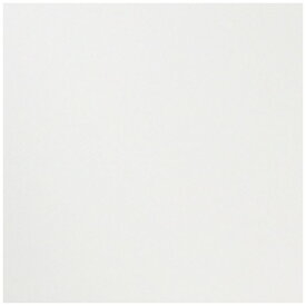 アワガミファクトリー｜Awagami Factory コピーができる和紙　白樺 100g/m2 （A4サイズ・20枚） No.141 　No.141[842593900]