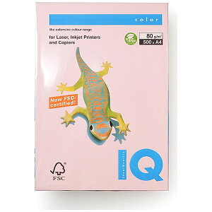 ɓbito-ya kev^lmondi(fB) oCIgbvJ[ 80g/m2 [A4 /500] t~S BT531[BT531]