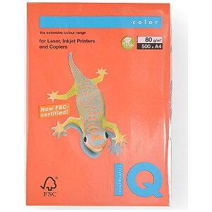 ɓbito-ya kev^lmondi(fB) oCIgbvJ[ 80g/m2 [A4 /500] ubNbh BT519[BT519]