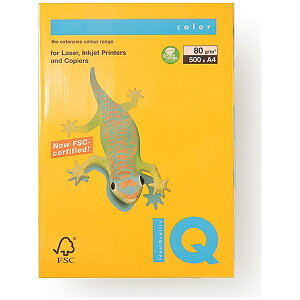 ɓbito-ya kev^lmondi(fB) oCIgbvJ[ 80g/m2 [A4 /500] I[hS[h BT523[BT523]