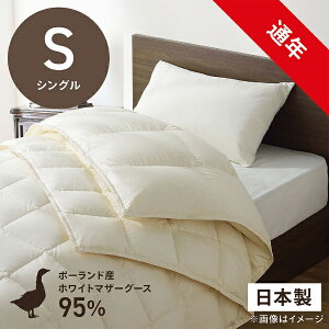 эH[bUMO KOBO 2킹({|+|)HѕzcuтӂƂv PM510M-HB2 [VO(150×210cm) /ʔN /|[hYzCg}U[O[X_E95 /{]