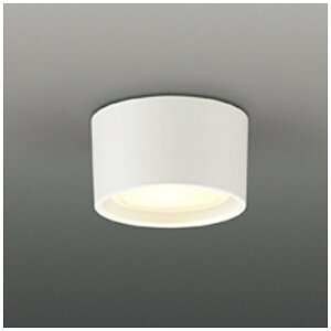 ���Ń��C�e�b�N�bTOSHIBA Lighting Technology LED�������`�V�[�����O�p�Z�[�h�i�����v�ʔ��j�@ LEDG85001[LEDG85001]