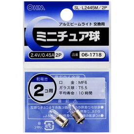 オーム電機｜OHM ELECTRIC SL-L2445M/2P 電球　ミニチュア球 クリア [豆電球形 /2個][SLL2445M2P]