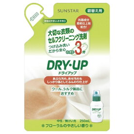 サンスター｜SUNSTAR DRY・UP（ドライアップ） つめかえ用（250ml）〔衣類洗剤〕