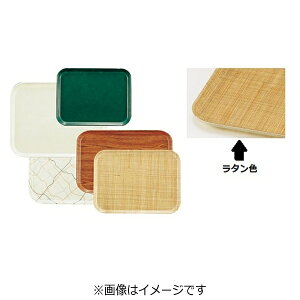 �L�����u���ЁbCAMBRO �L�����u�� �J���g���[�iFRP�j ���^�� 406×559mm ��EKM015LA��[EKM015LA]