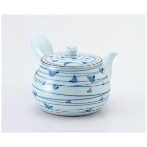 GYWp ؂̗tQ }{ D05-27 RKY5301[RKY5301]