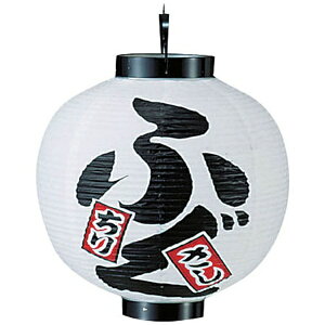 �J�h�L �r�j�[���� ���15���ی^ �ӂ� b332 ��YTY06004��[YTY06004]