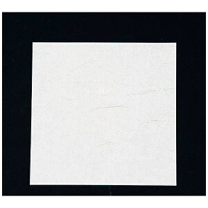 A[ebNbArtec j[lG 5i100j NS-65 n QKIJ701[QKIJ701]