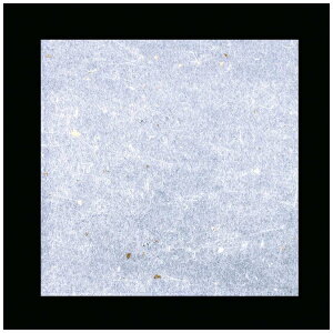 �A�[�e�b�N�bArtec OP����_�����~ ���F�i100�����j OPG-15 15cm�p ��QKIL603��[QKIL603]